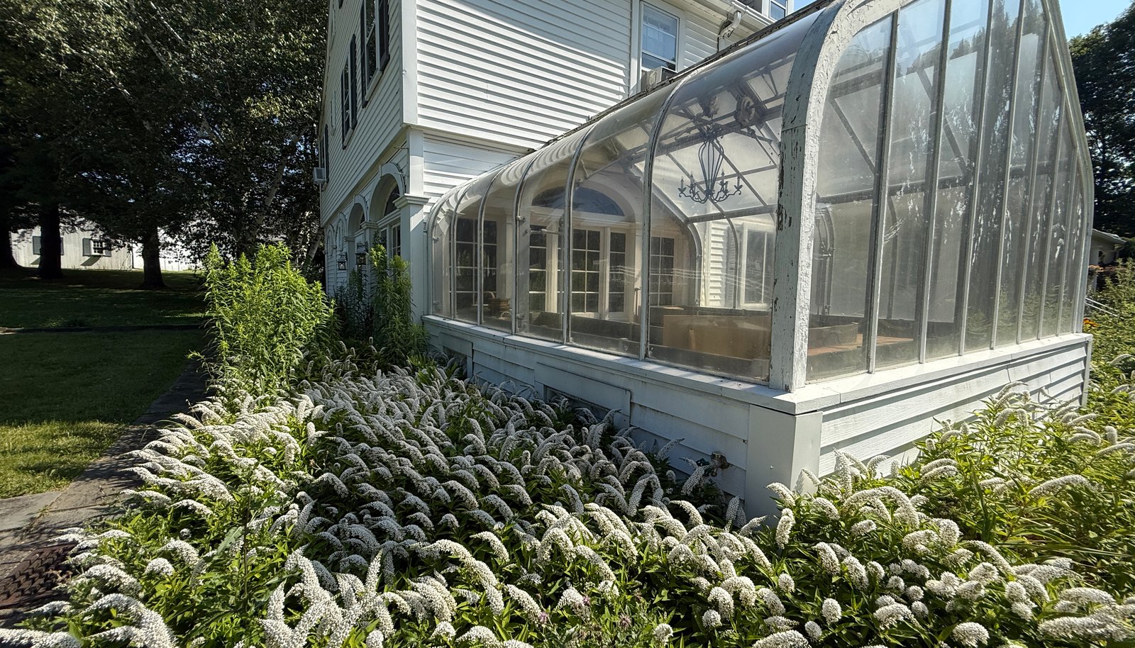 Image 12