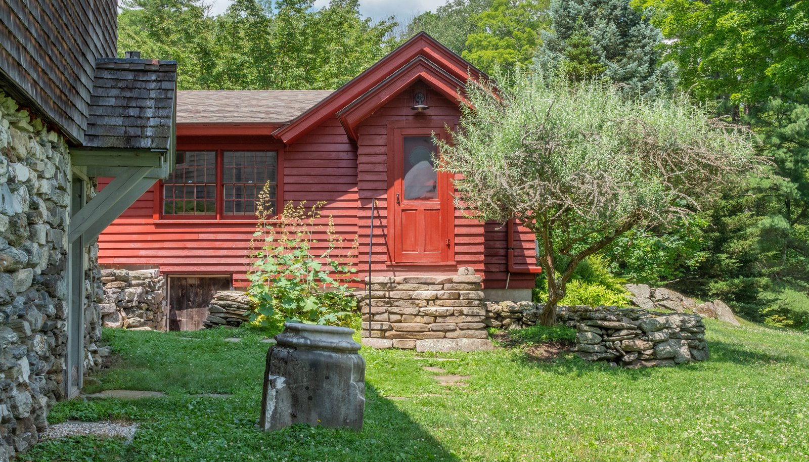 Image 5