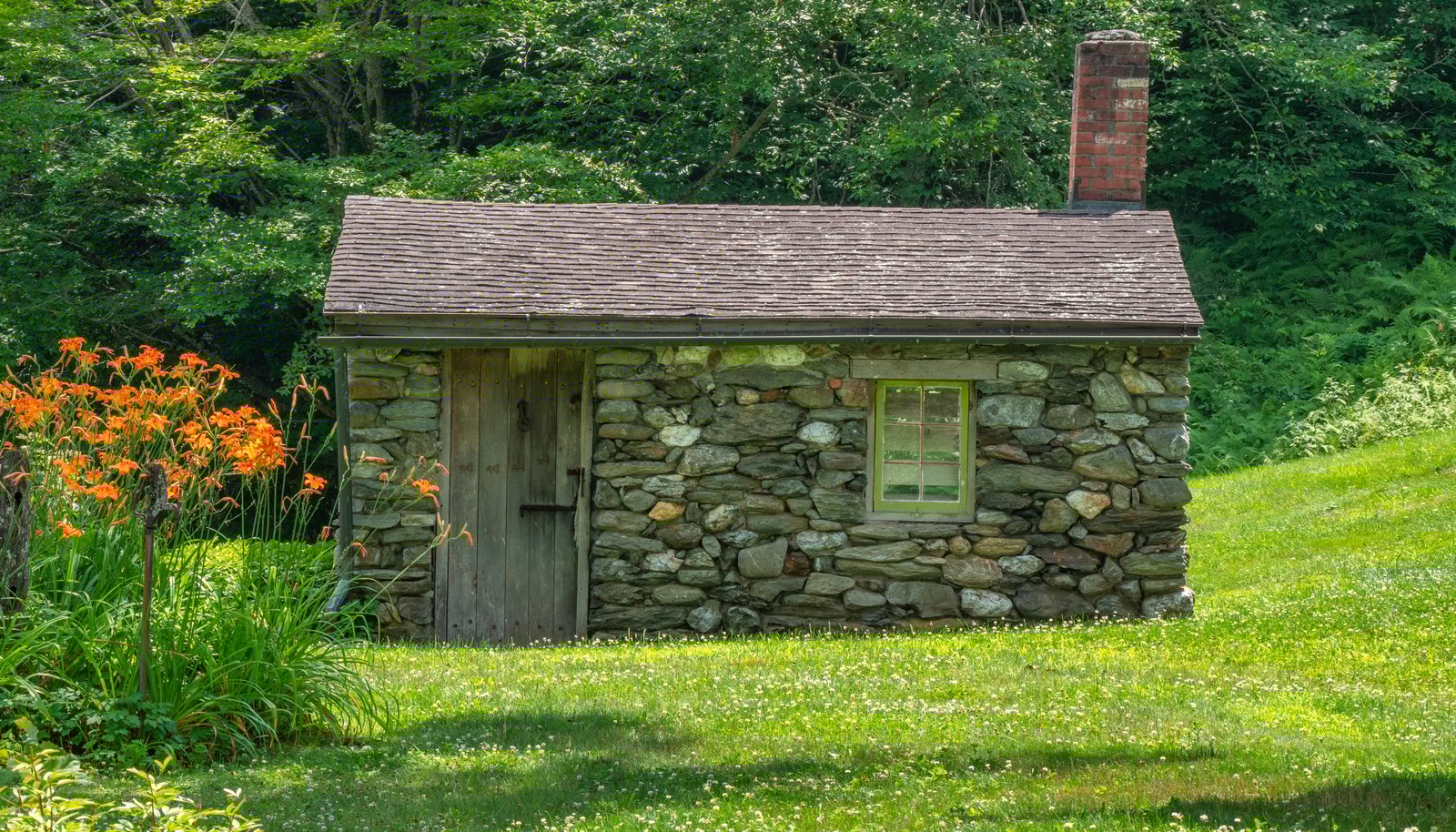 Image 6