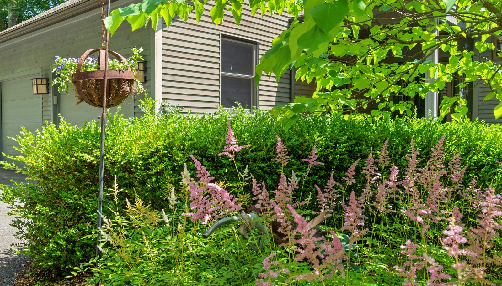 Image 67