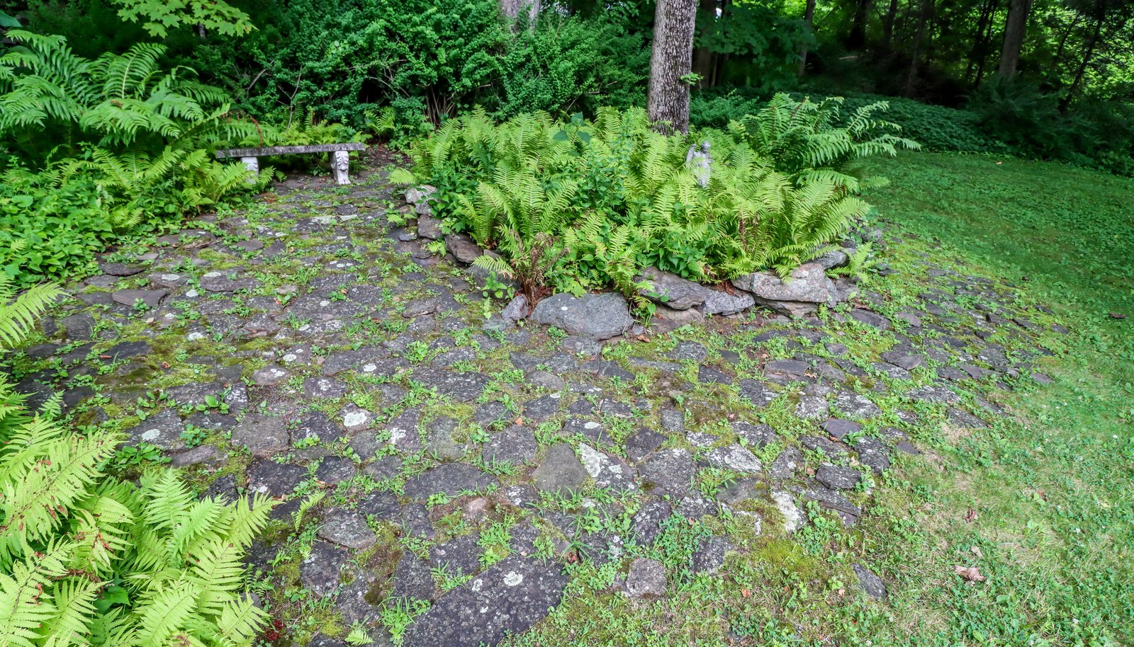 Image 29
