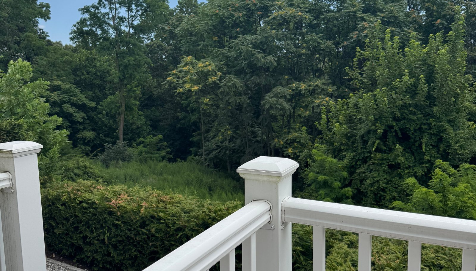 Image 18