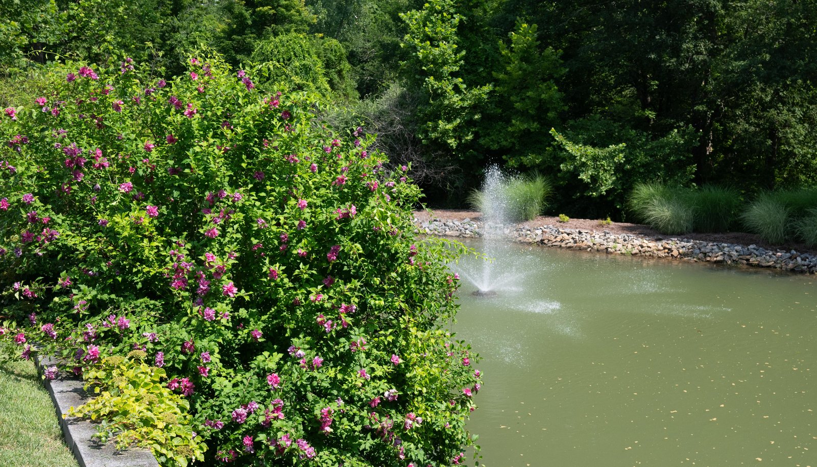 Image 34