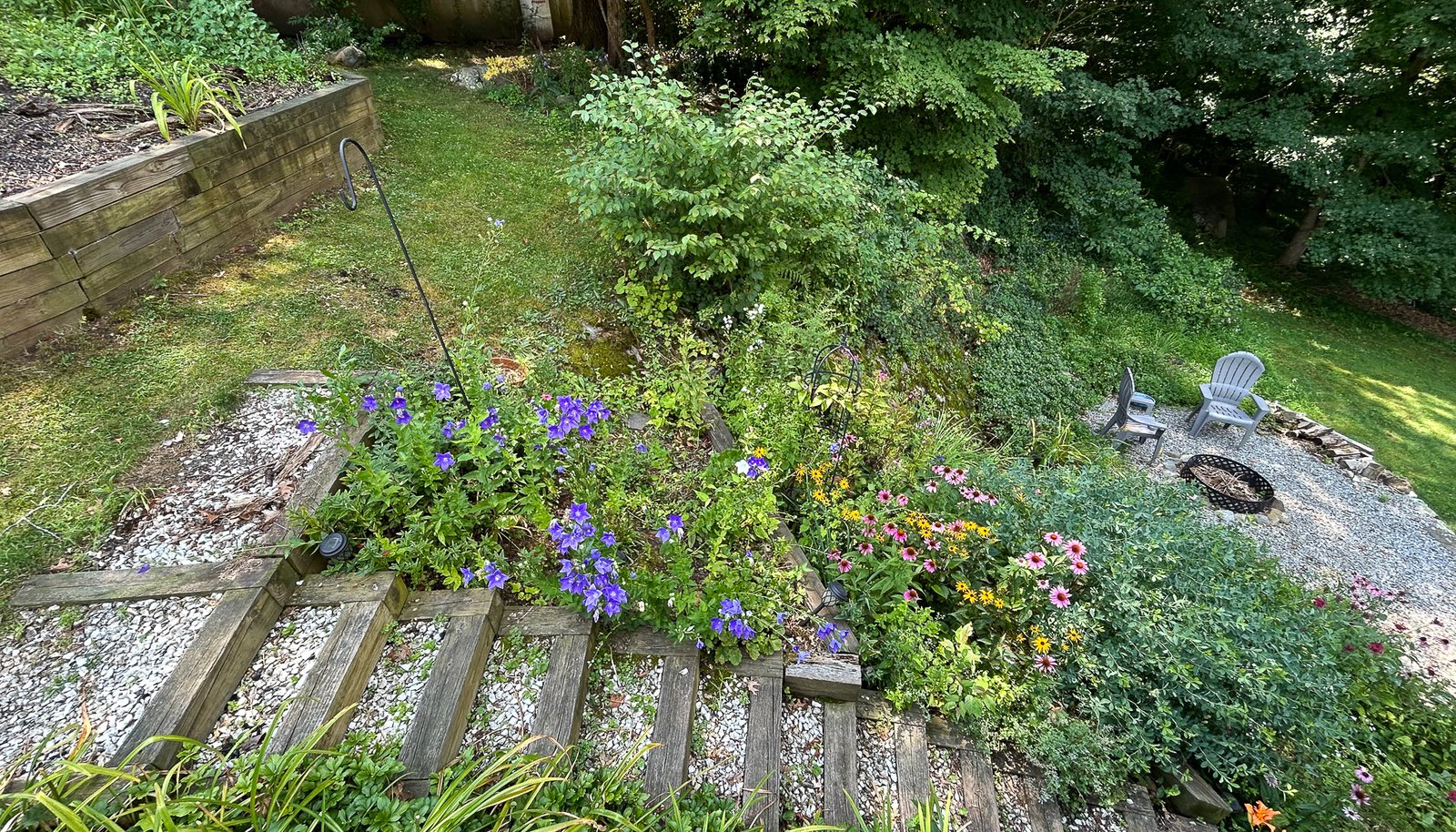 Image 29