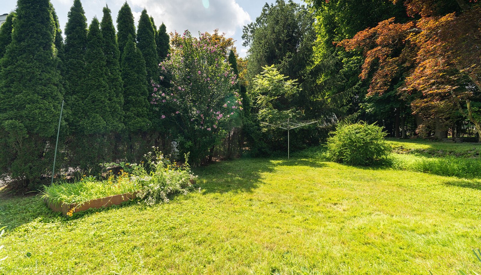 Image 20