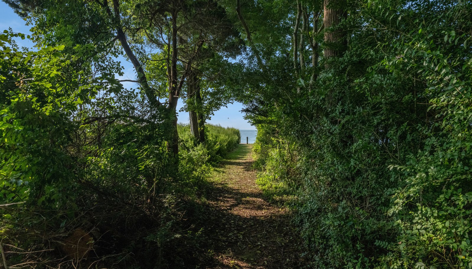 Image 29
