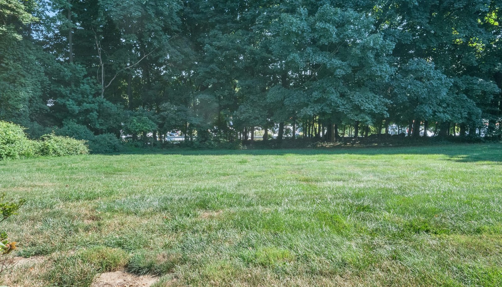 Image 37