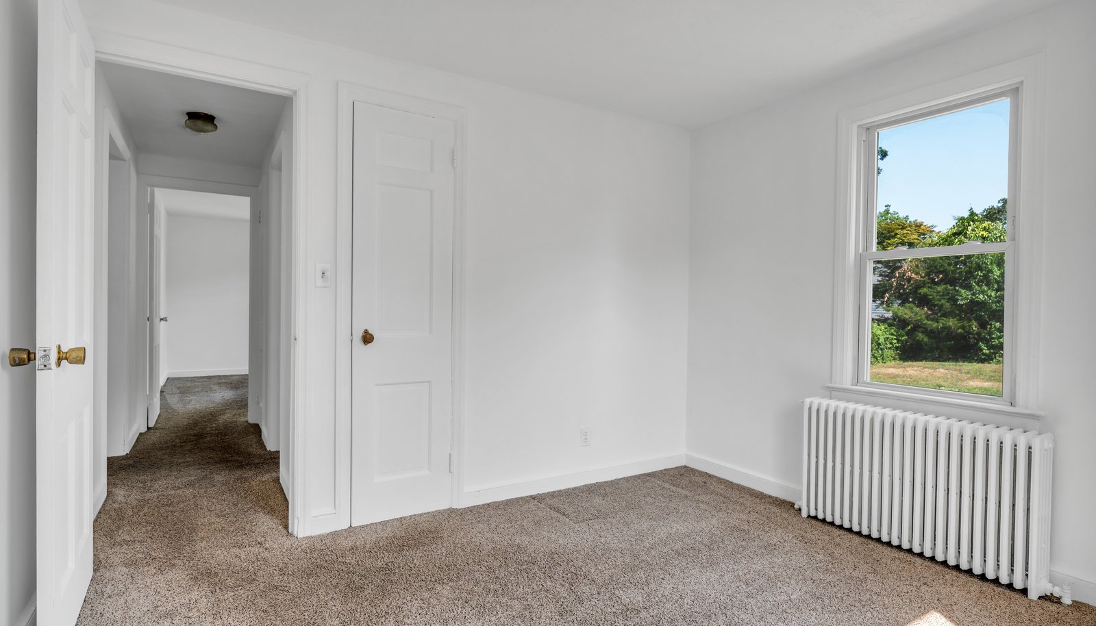 Image 19