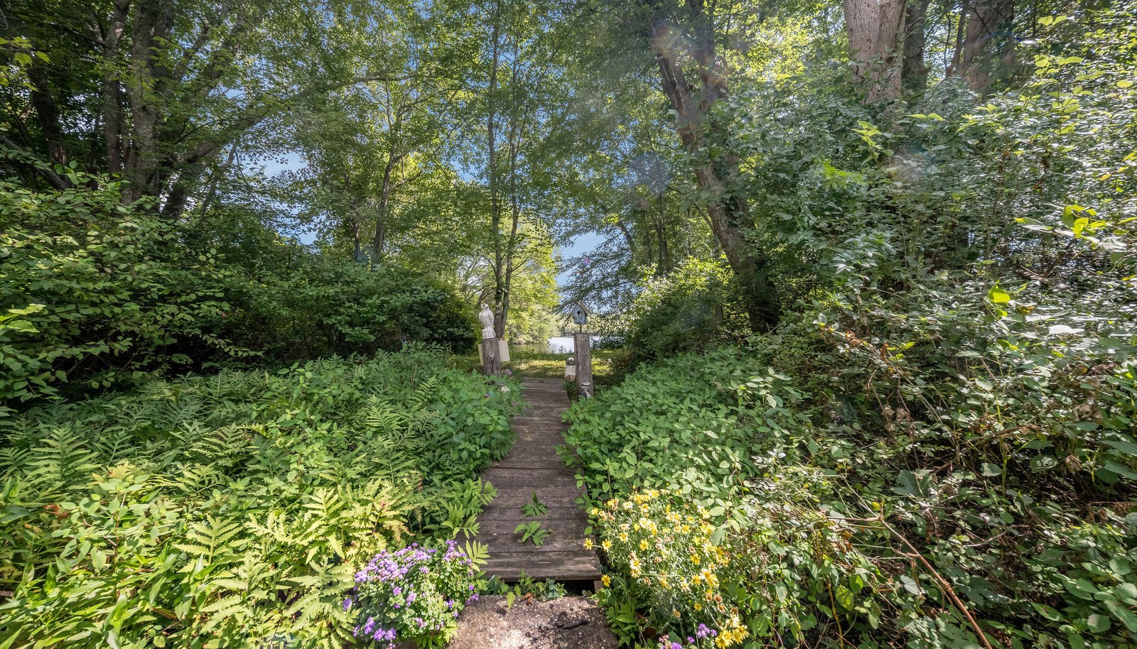 Image 26