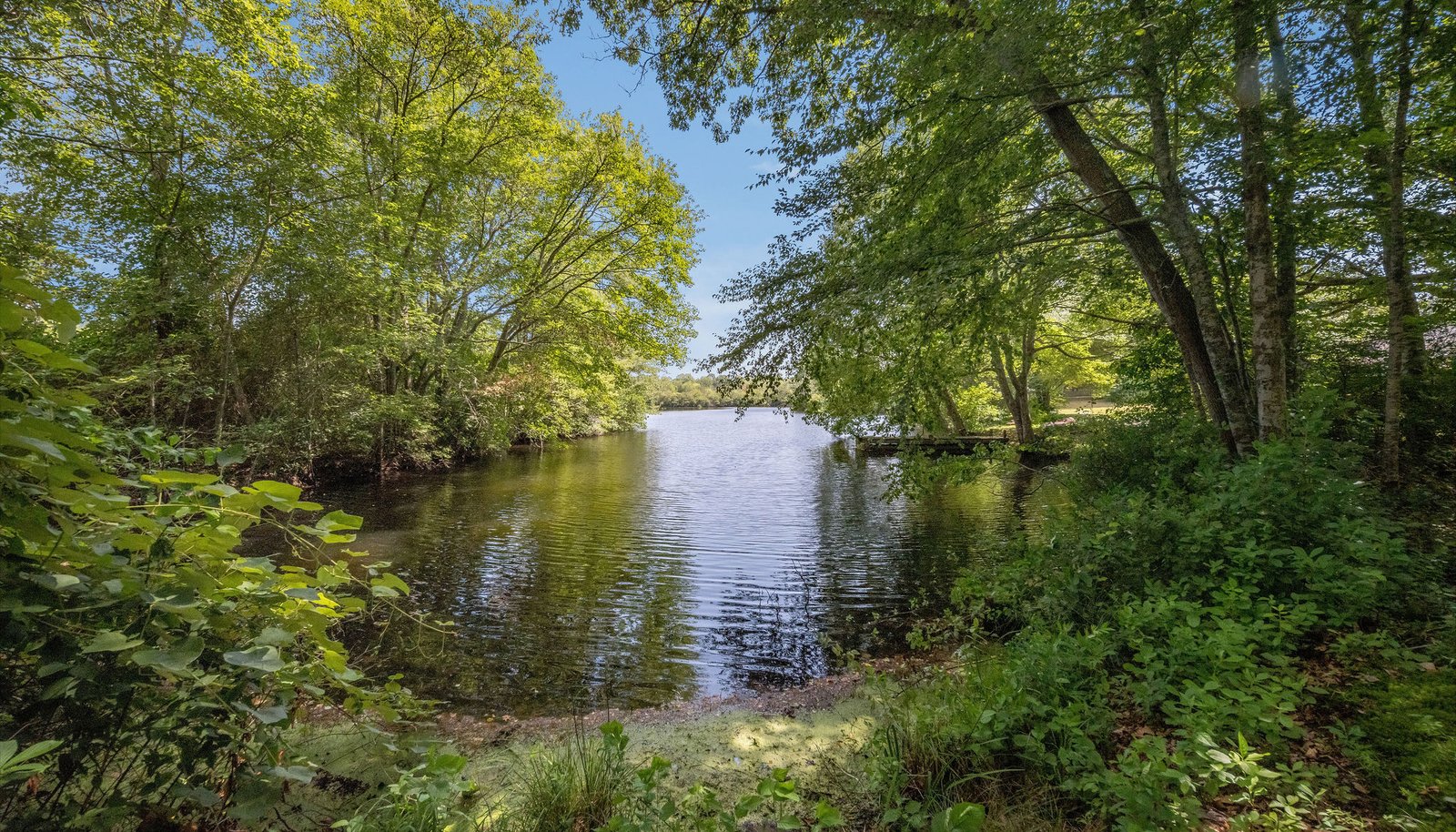 Image 27