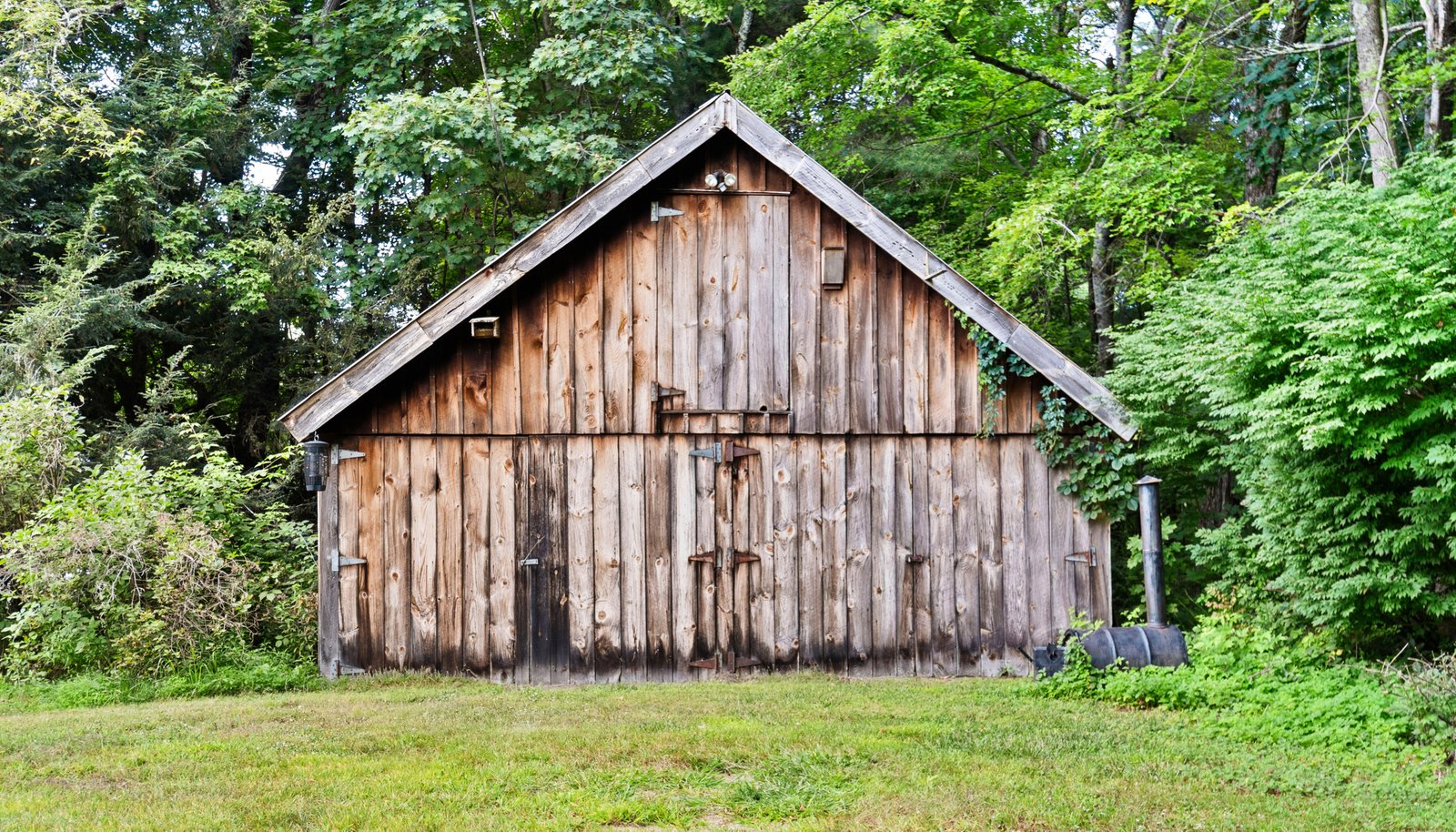 Image 25