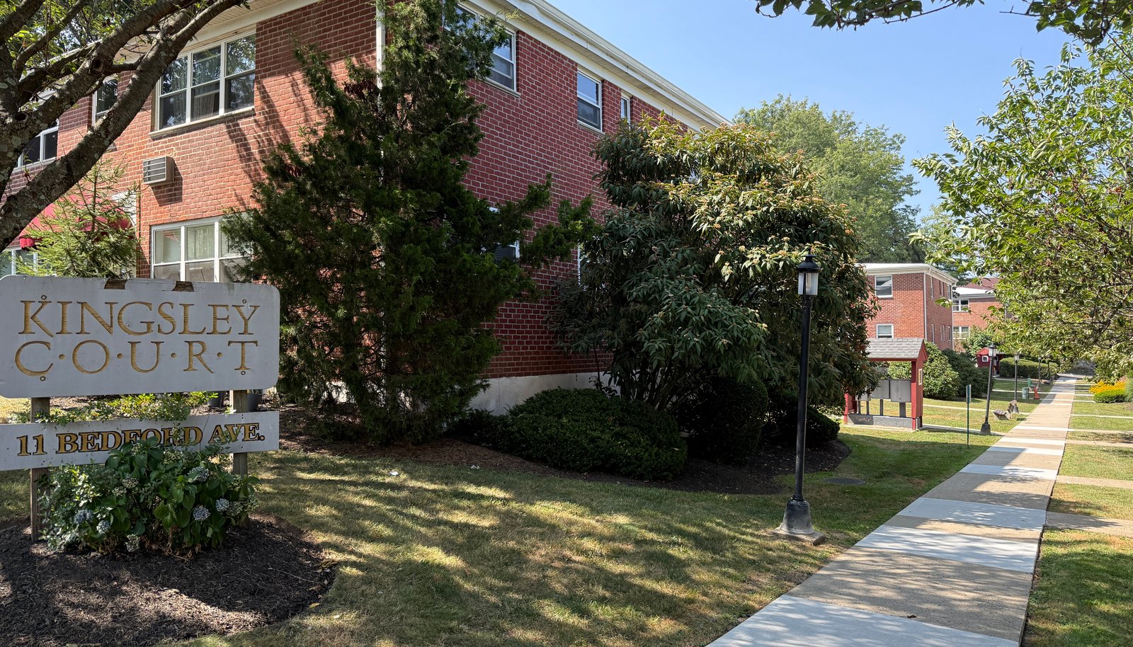 Image 19