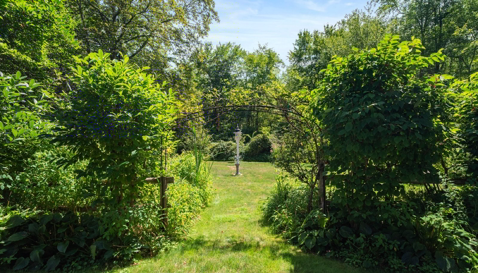 Image 39