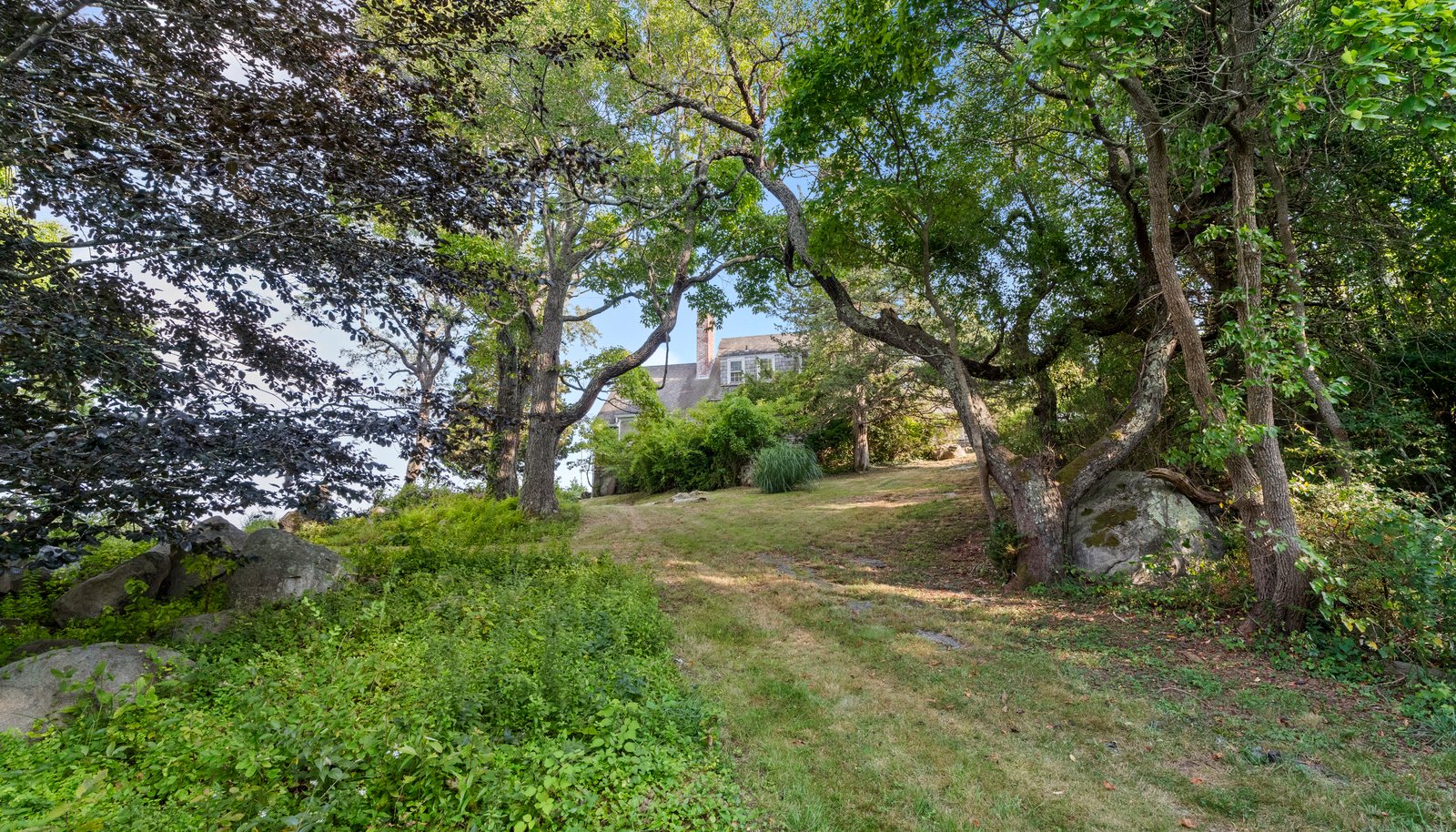Image 8
