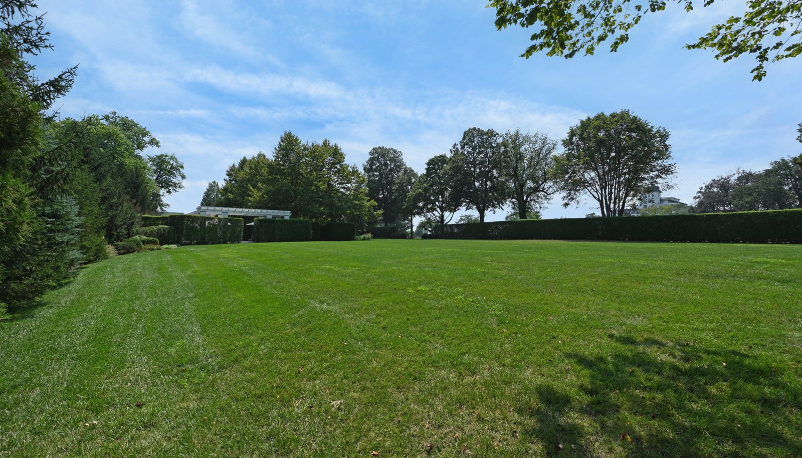 Image 46