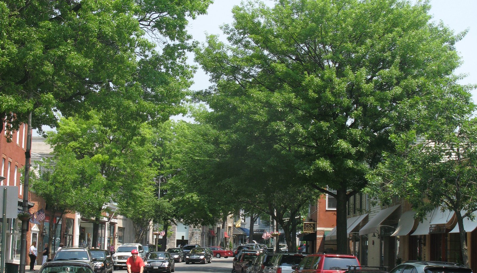 Image 6