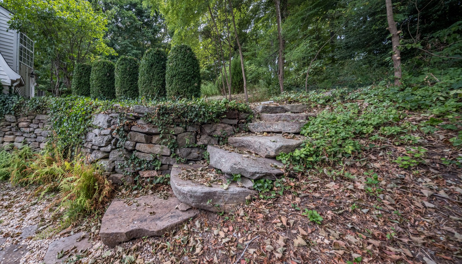 Image 29