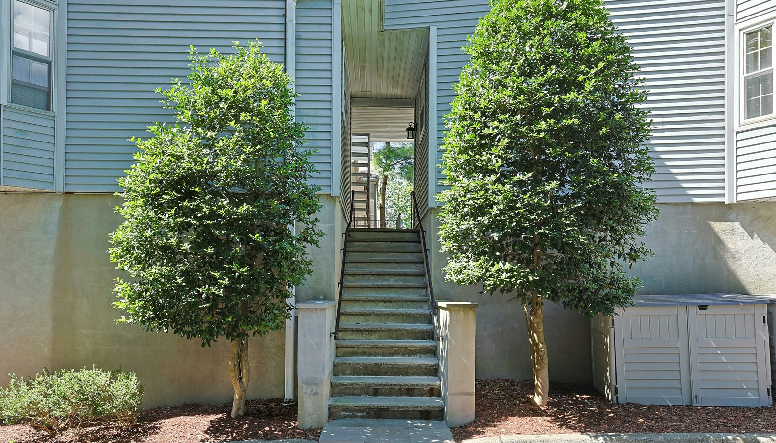 Image 25