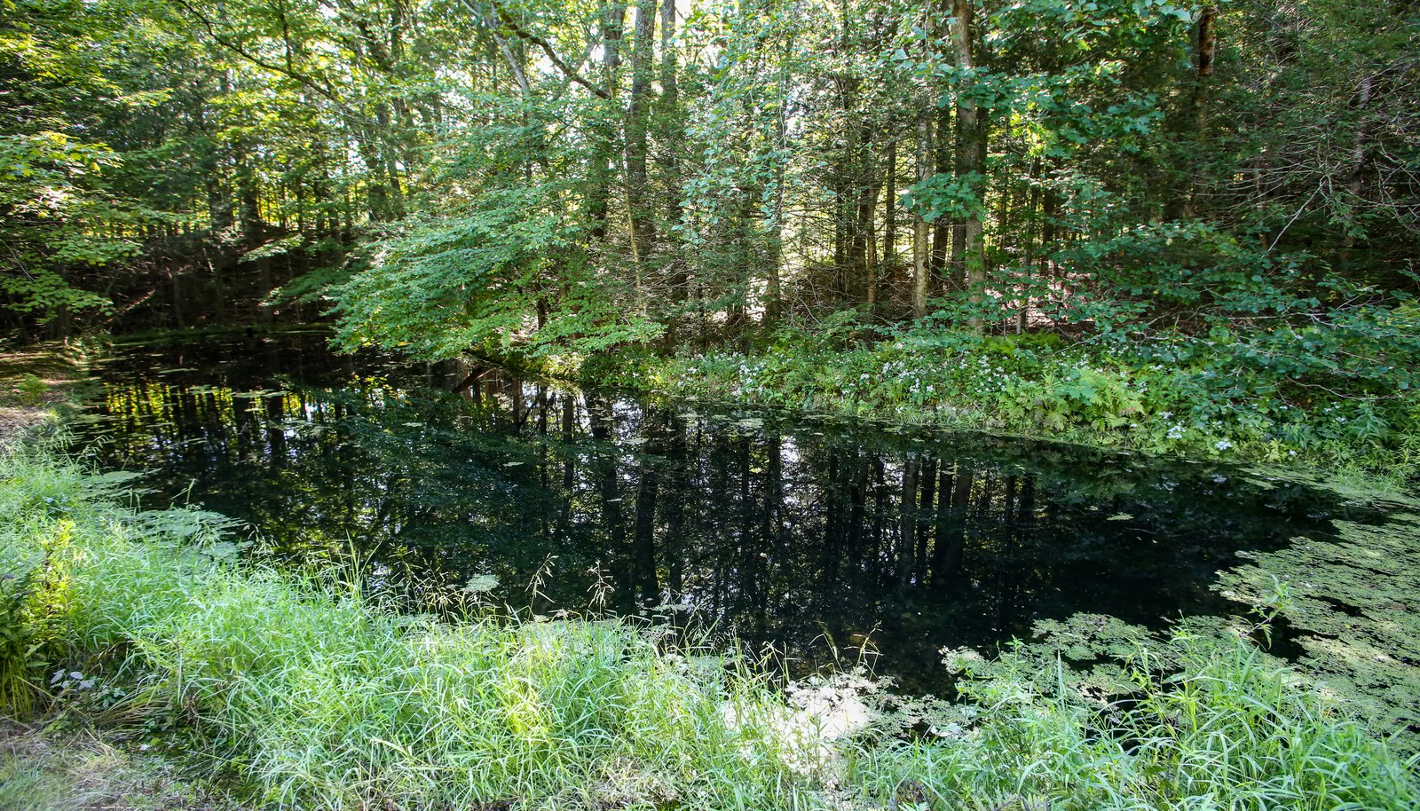 Image 37