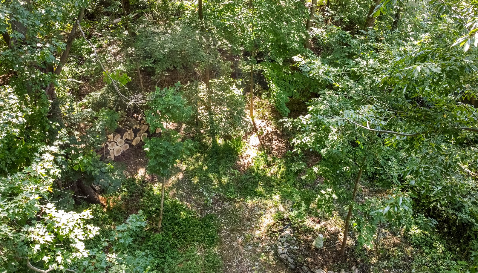 Image 8