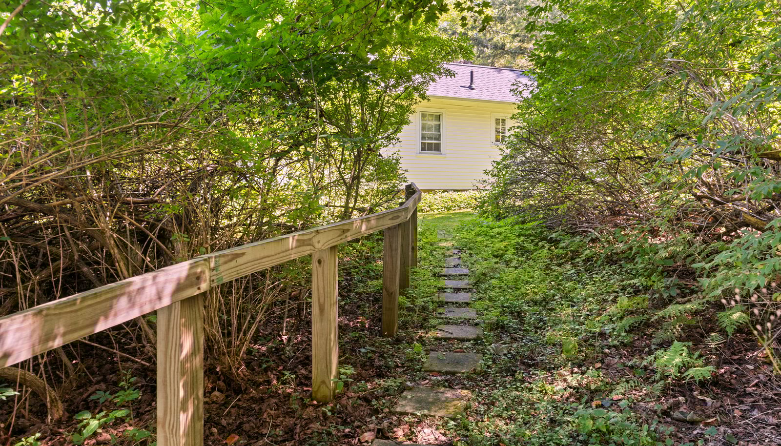 Image 14