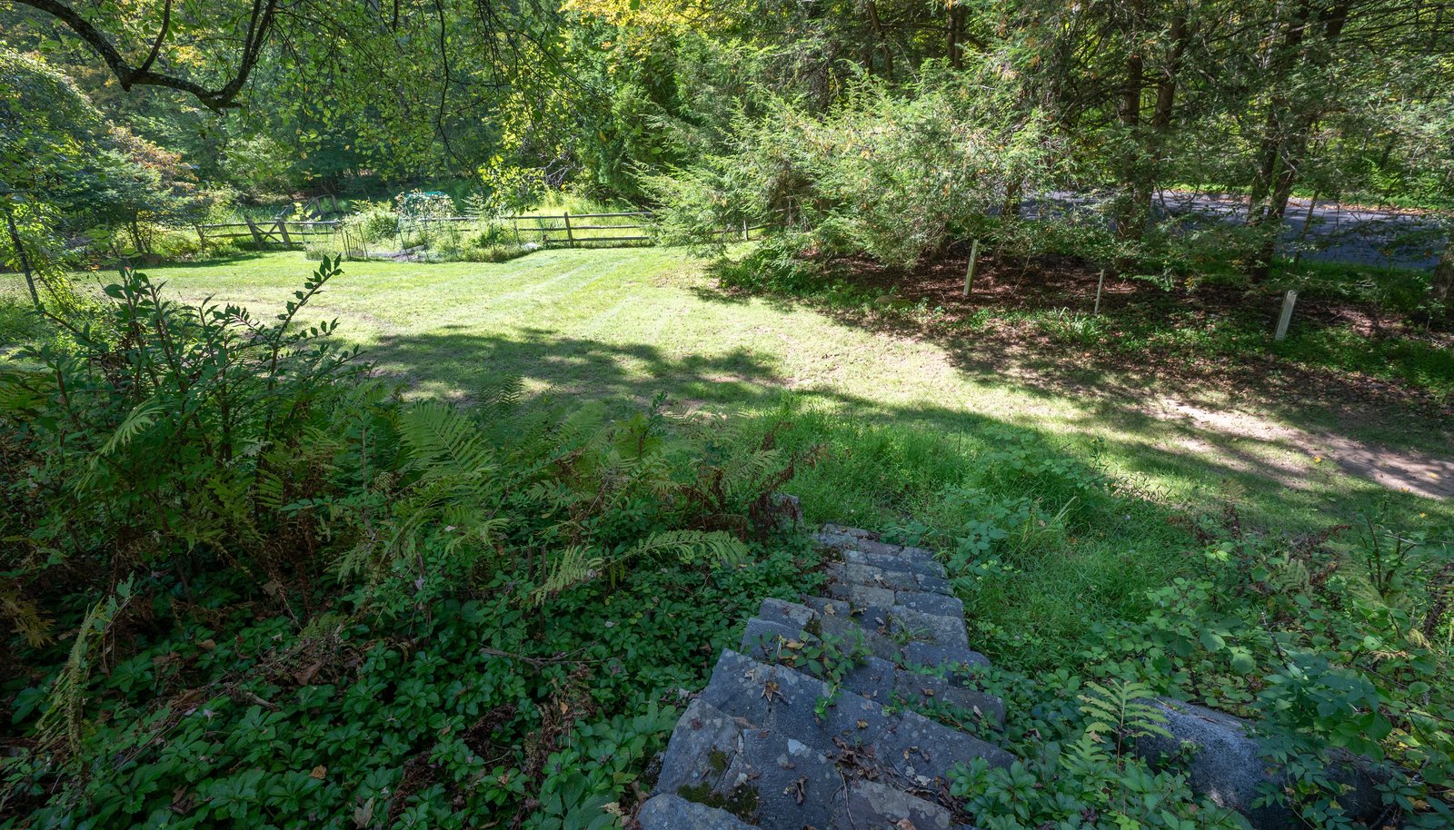 Image 30