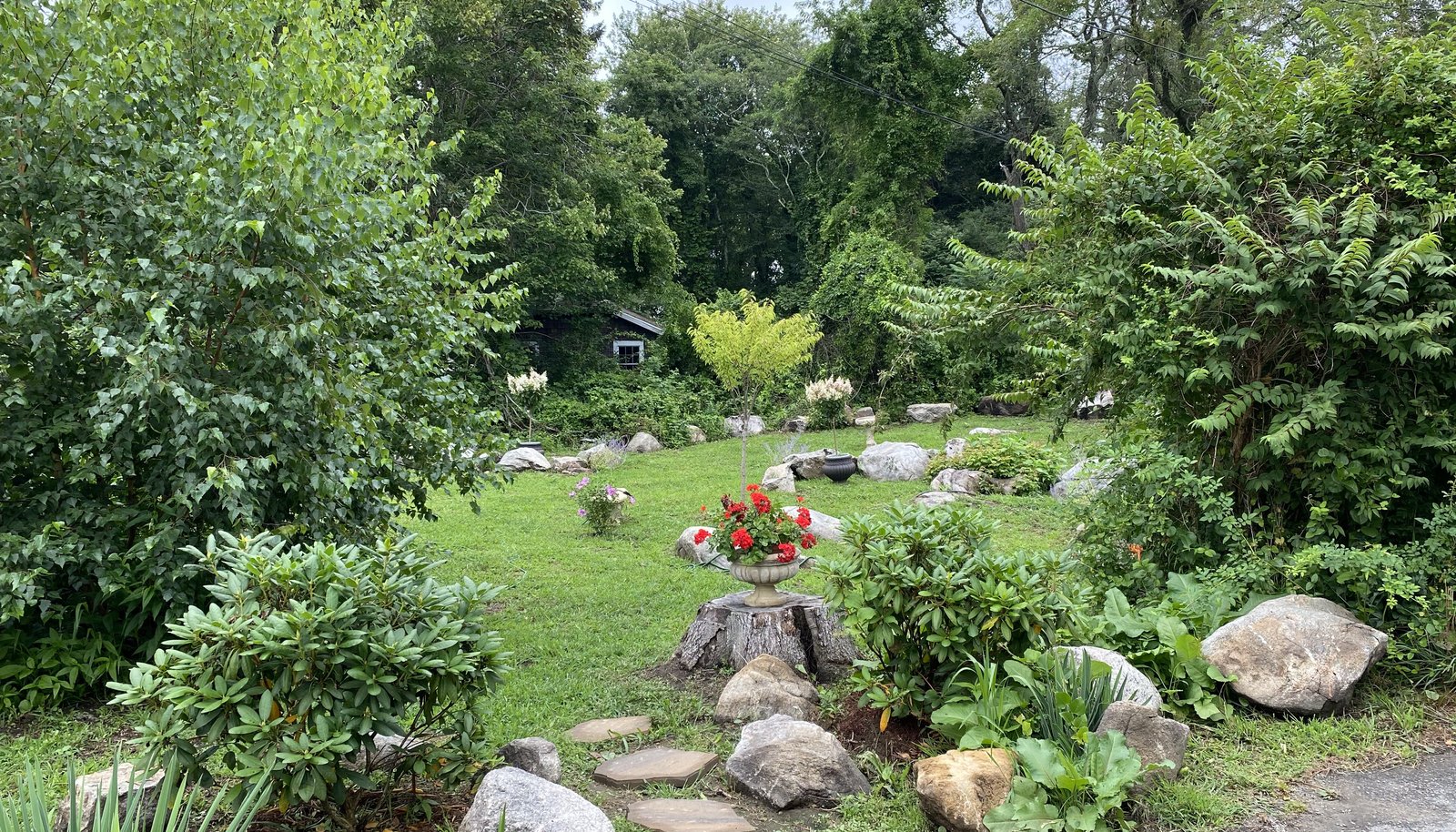 Image 31