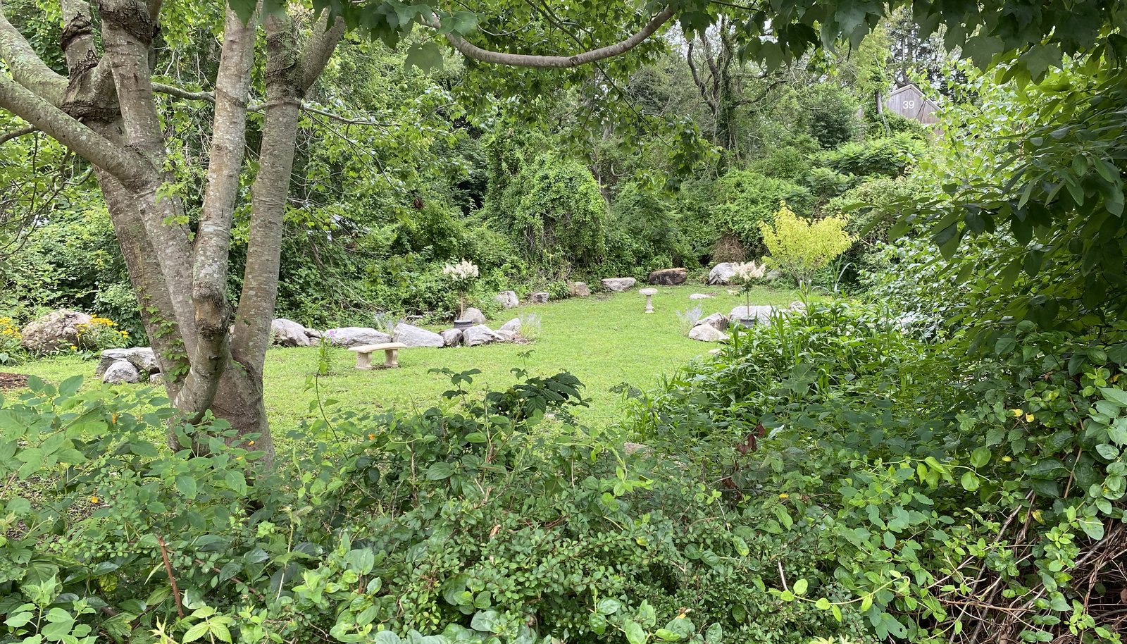 Image 33