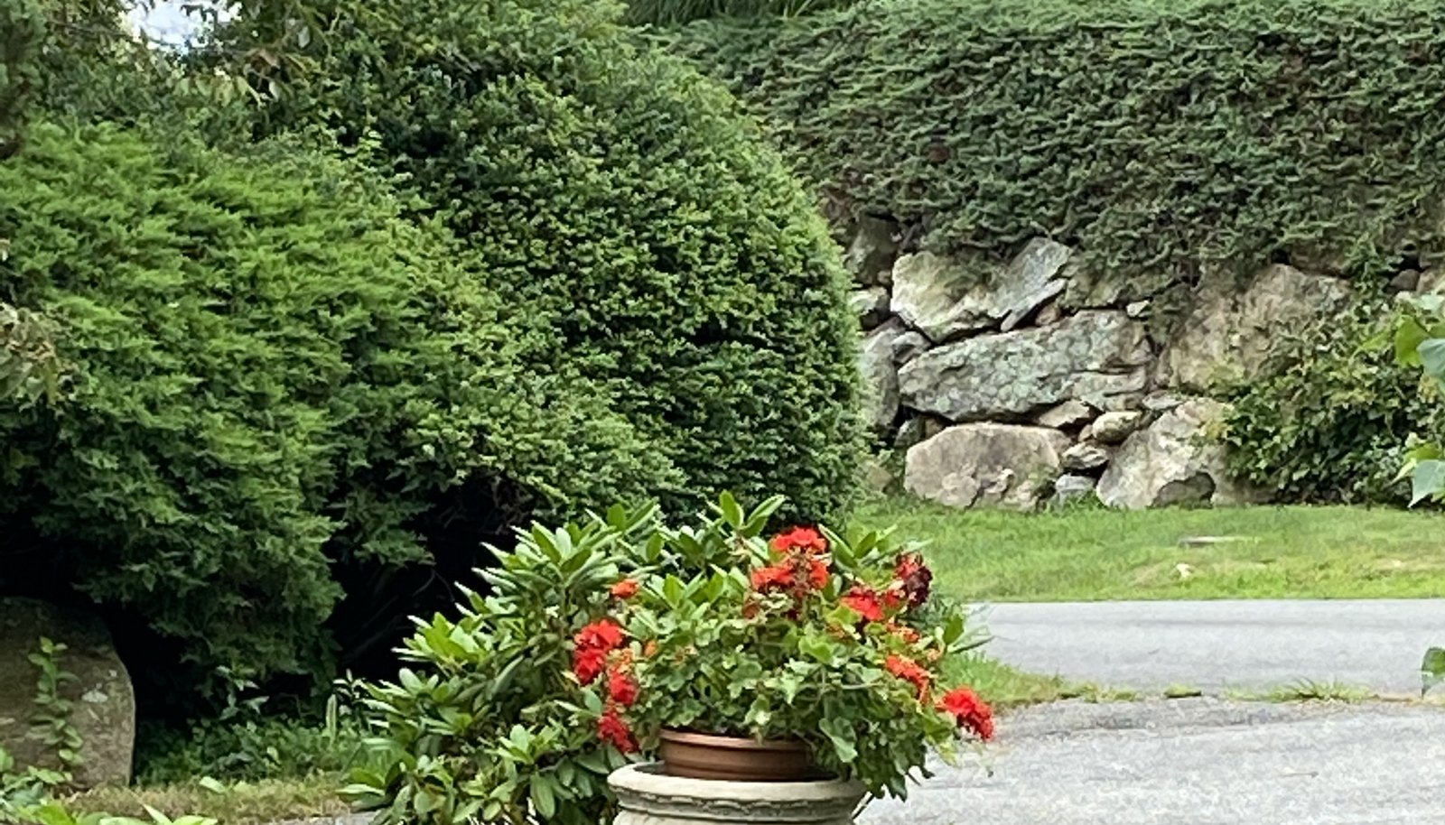 Image 34