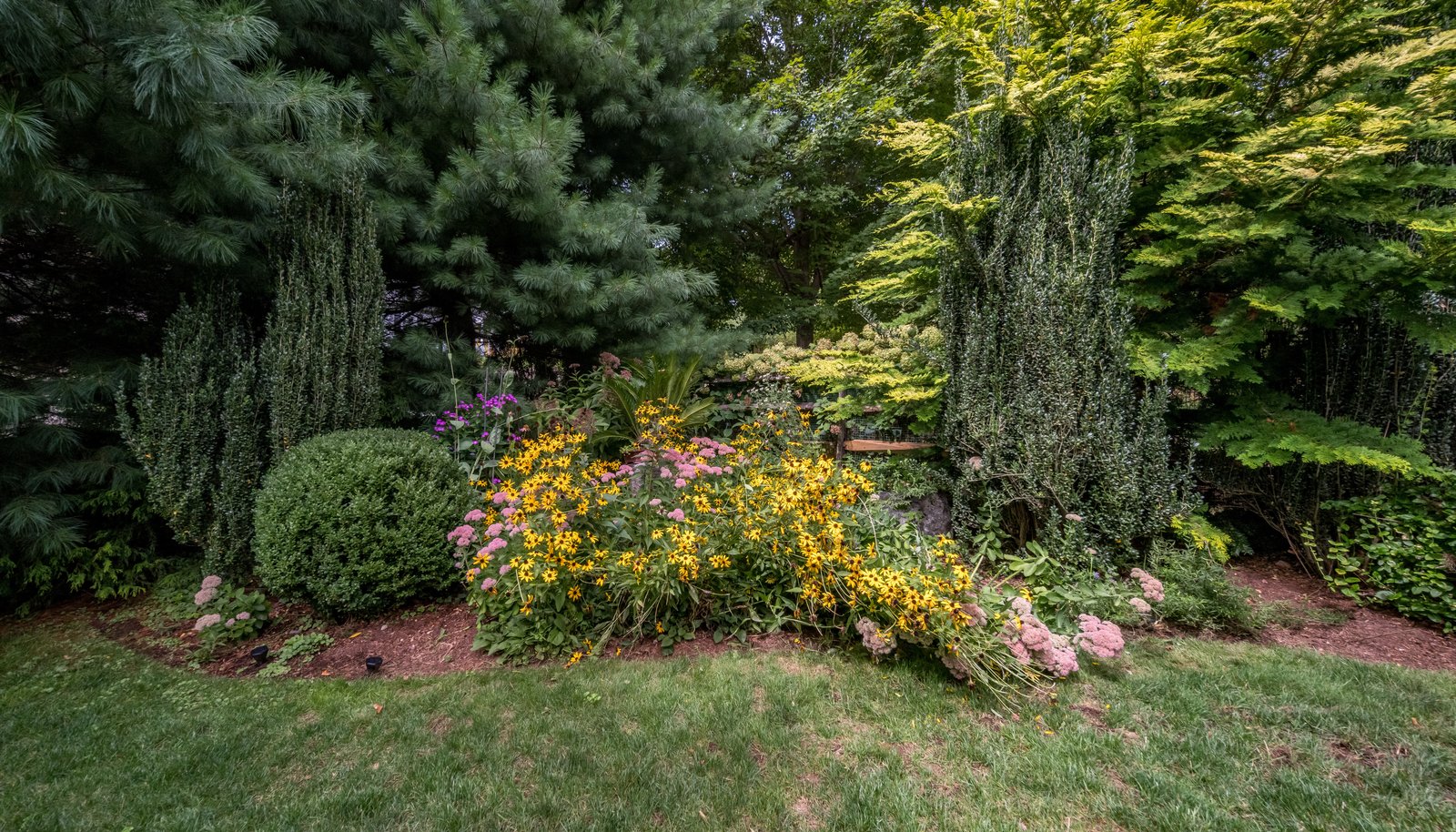 Image 35