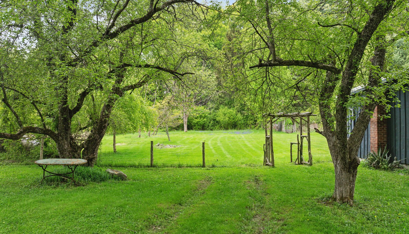 Image 29