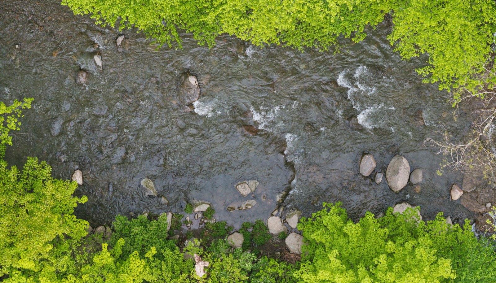 Image 39