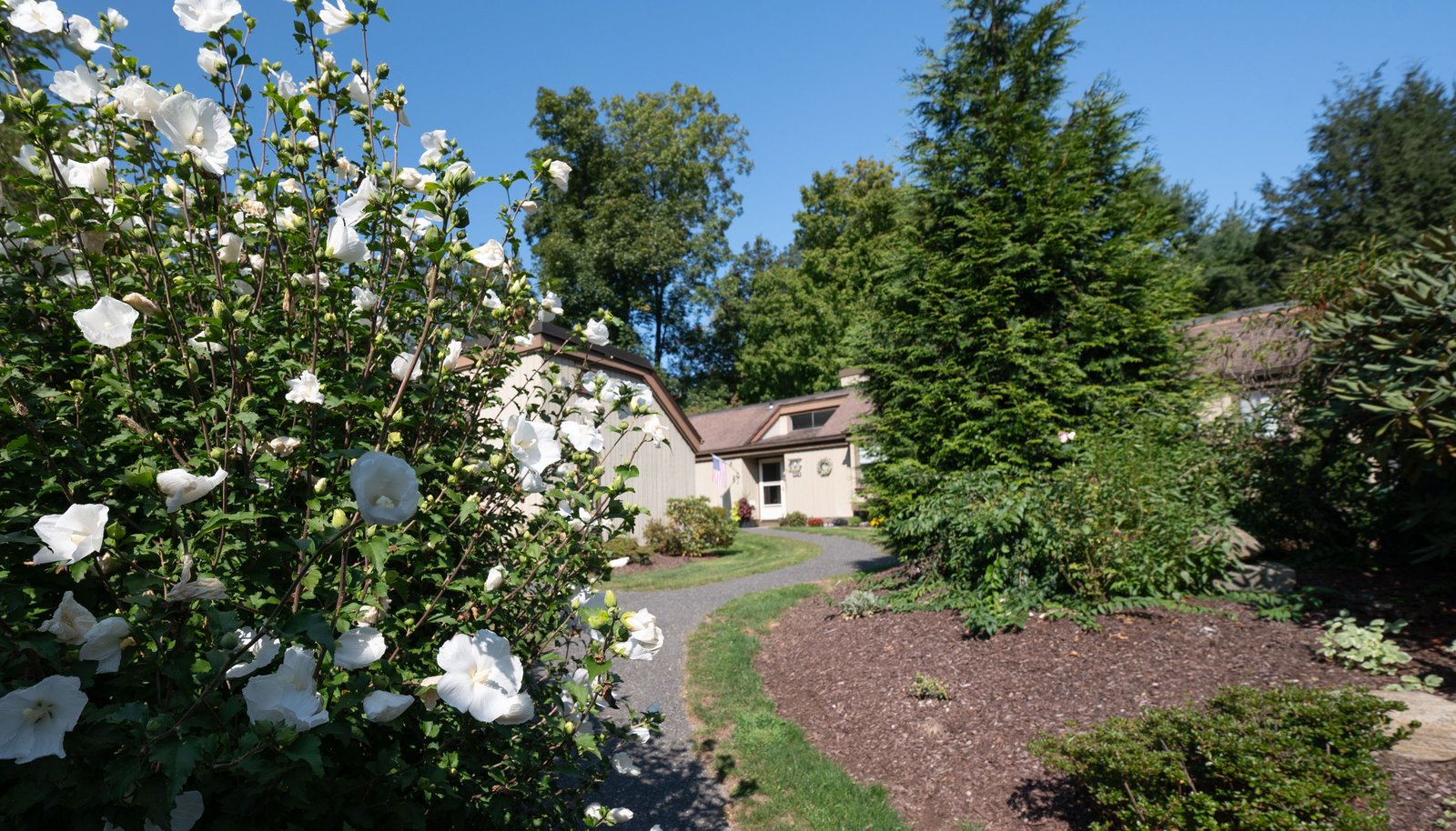 Image 26