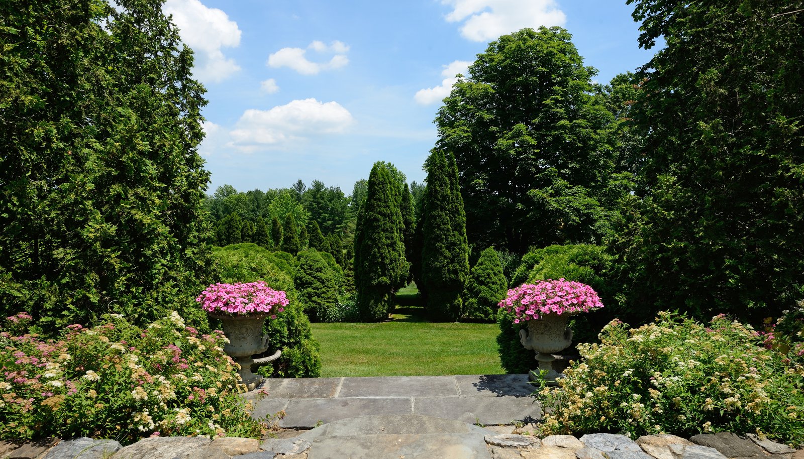 Image 62