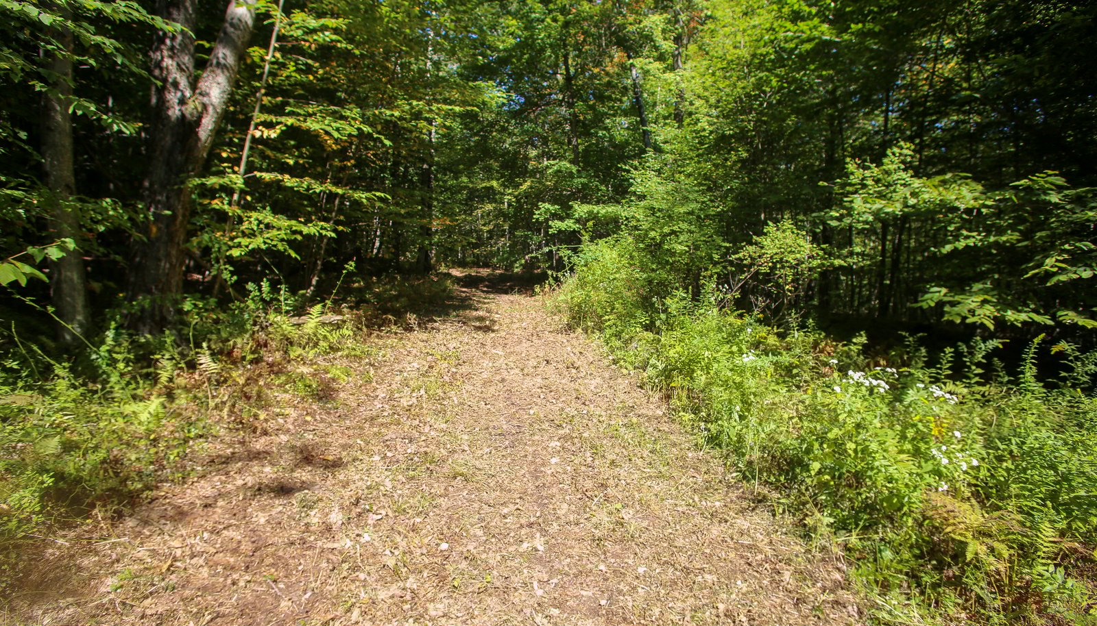 Image 27