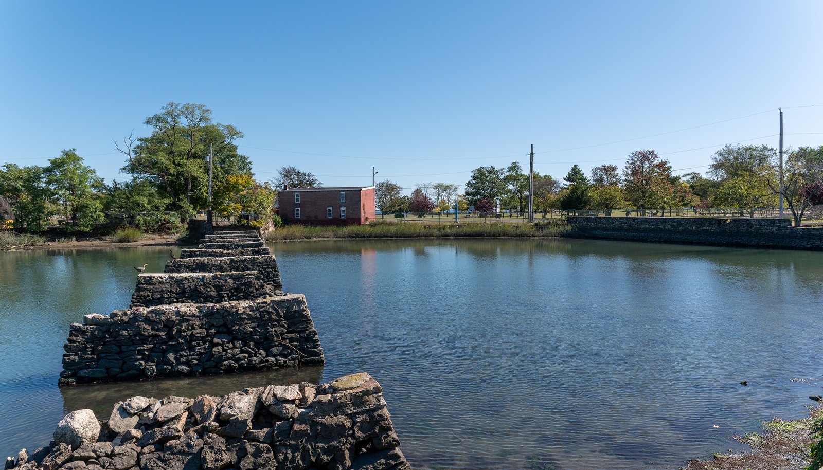 Image 31