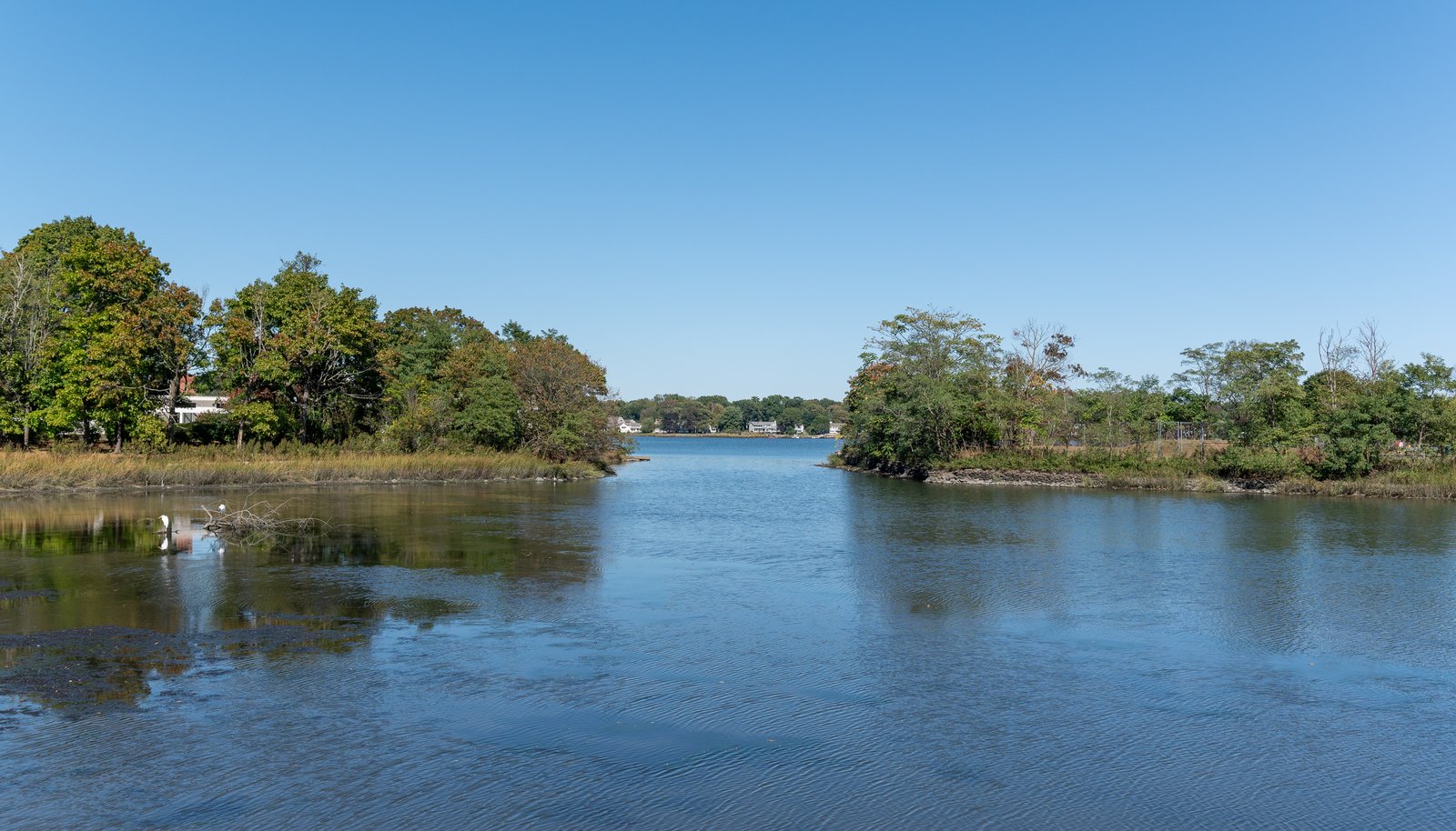 Image 32