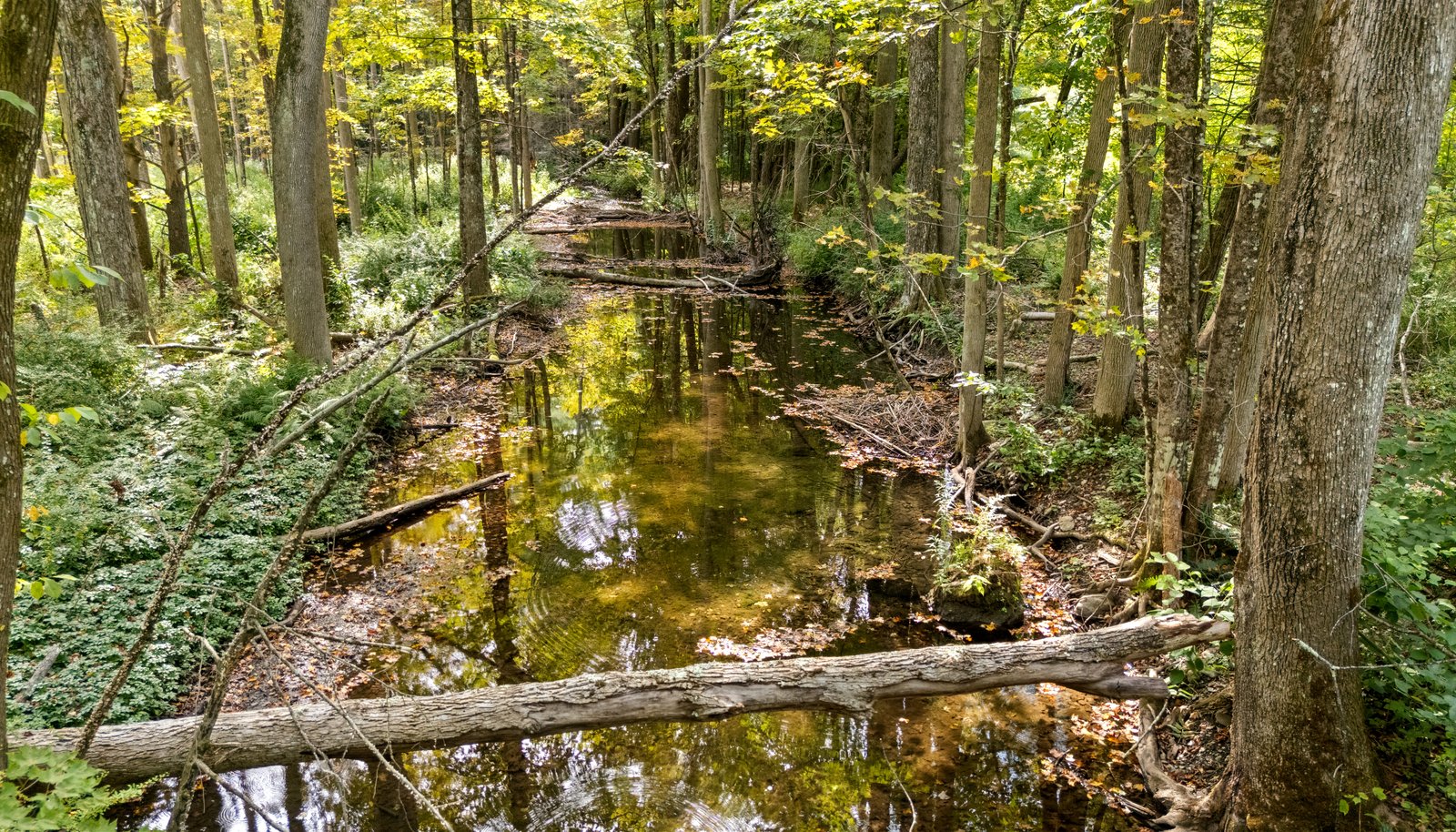 Image 12