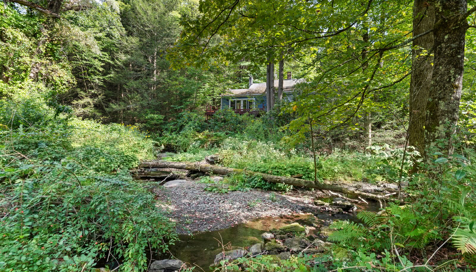 Image 14