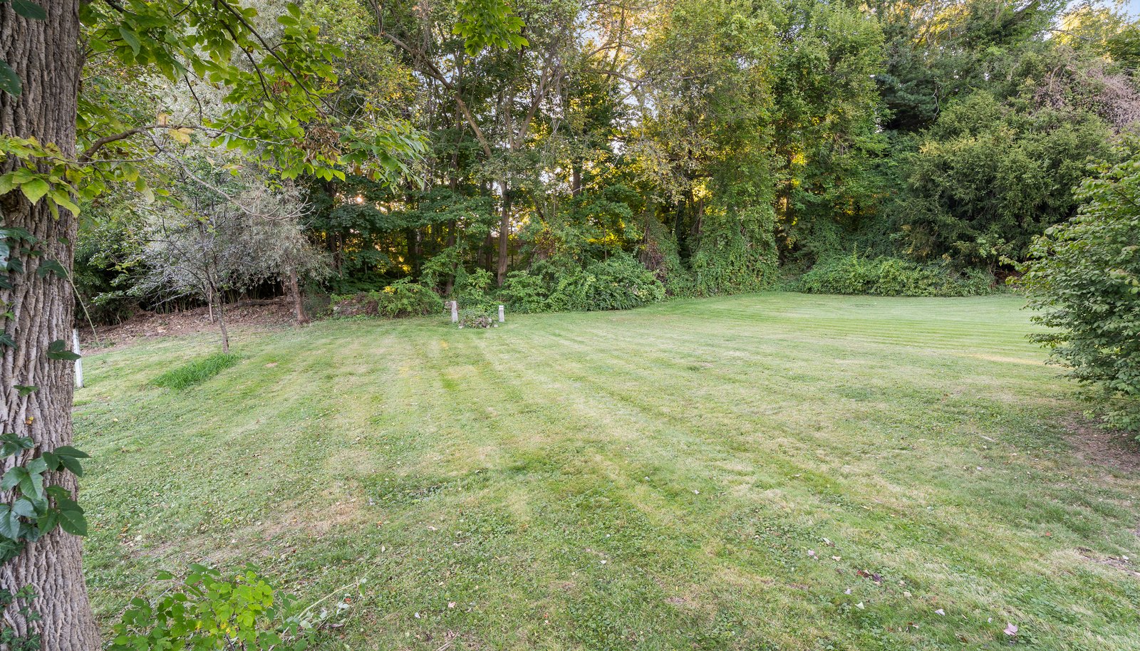 Image 26