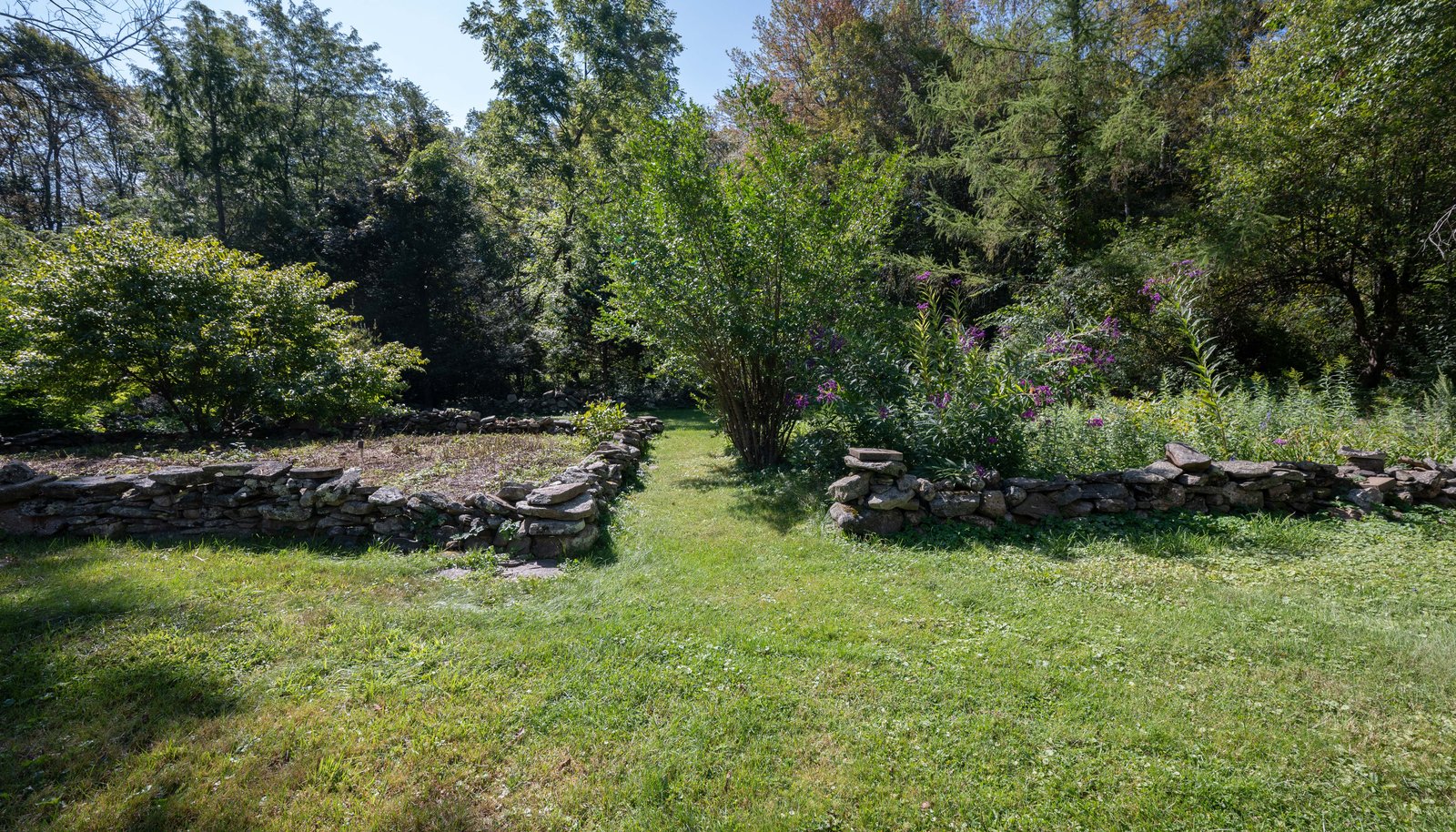 Image 36
