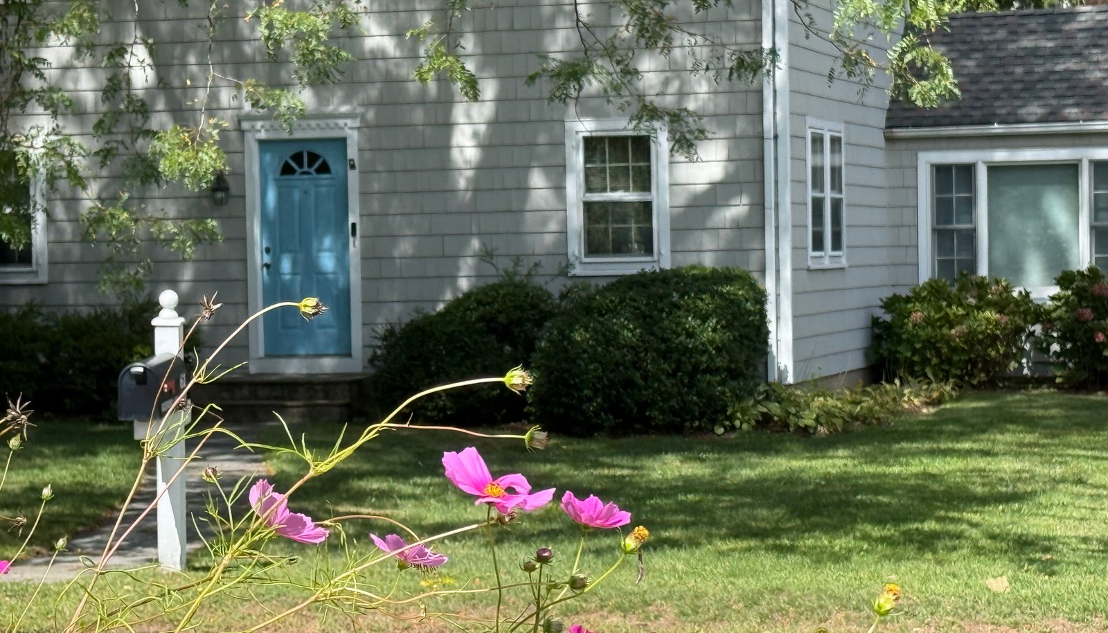 Image 15