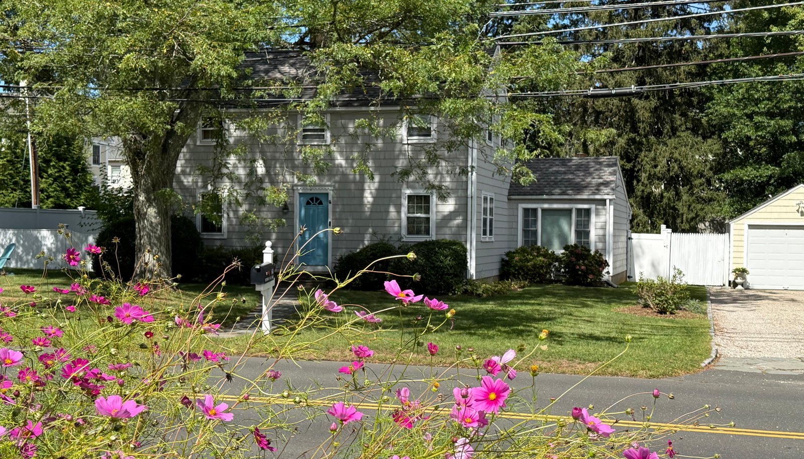 Image 16
