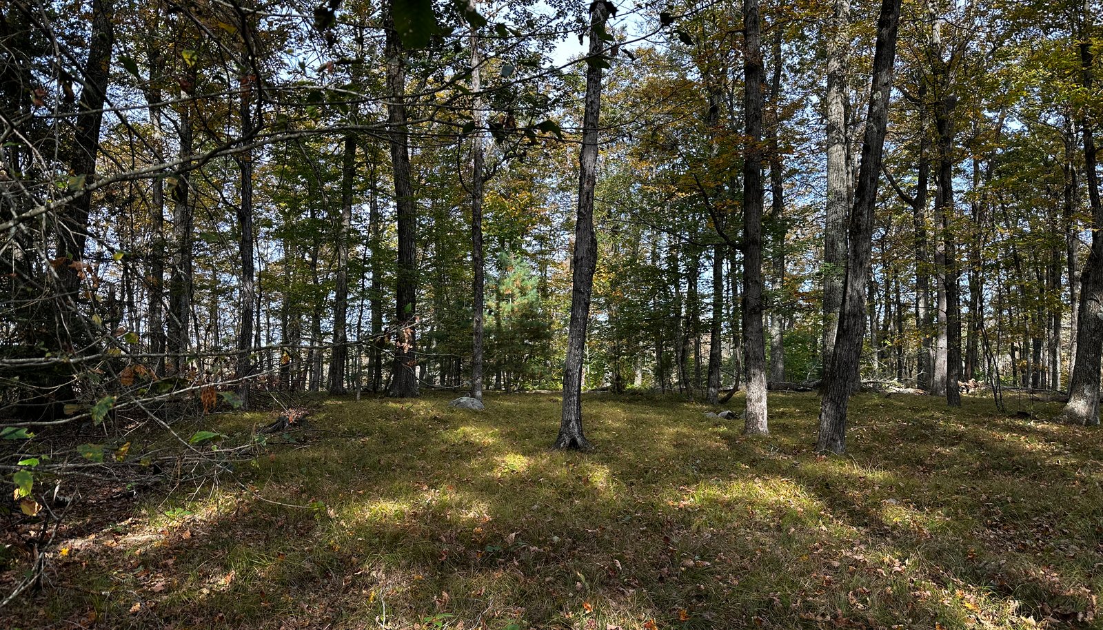 Image 10