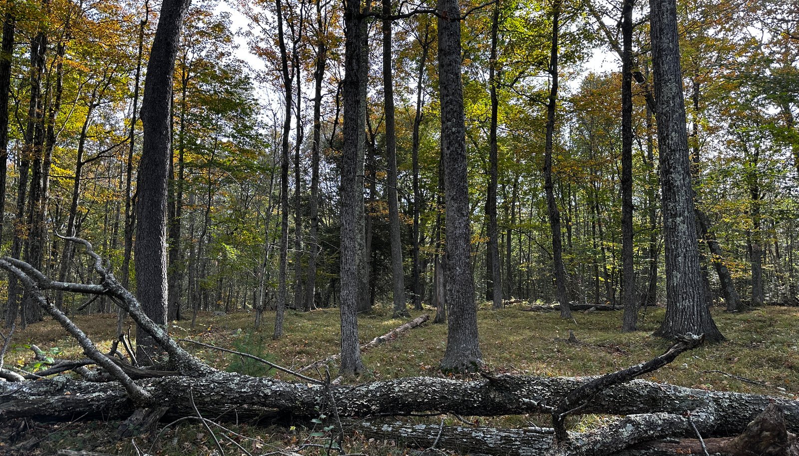 Image 18