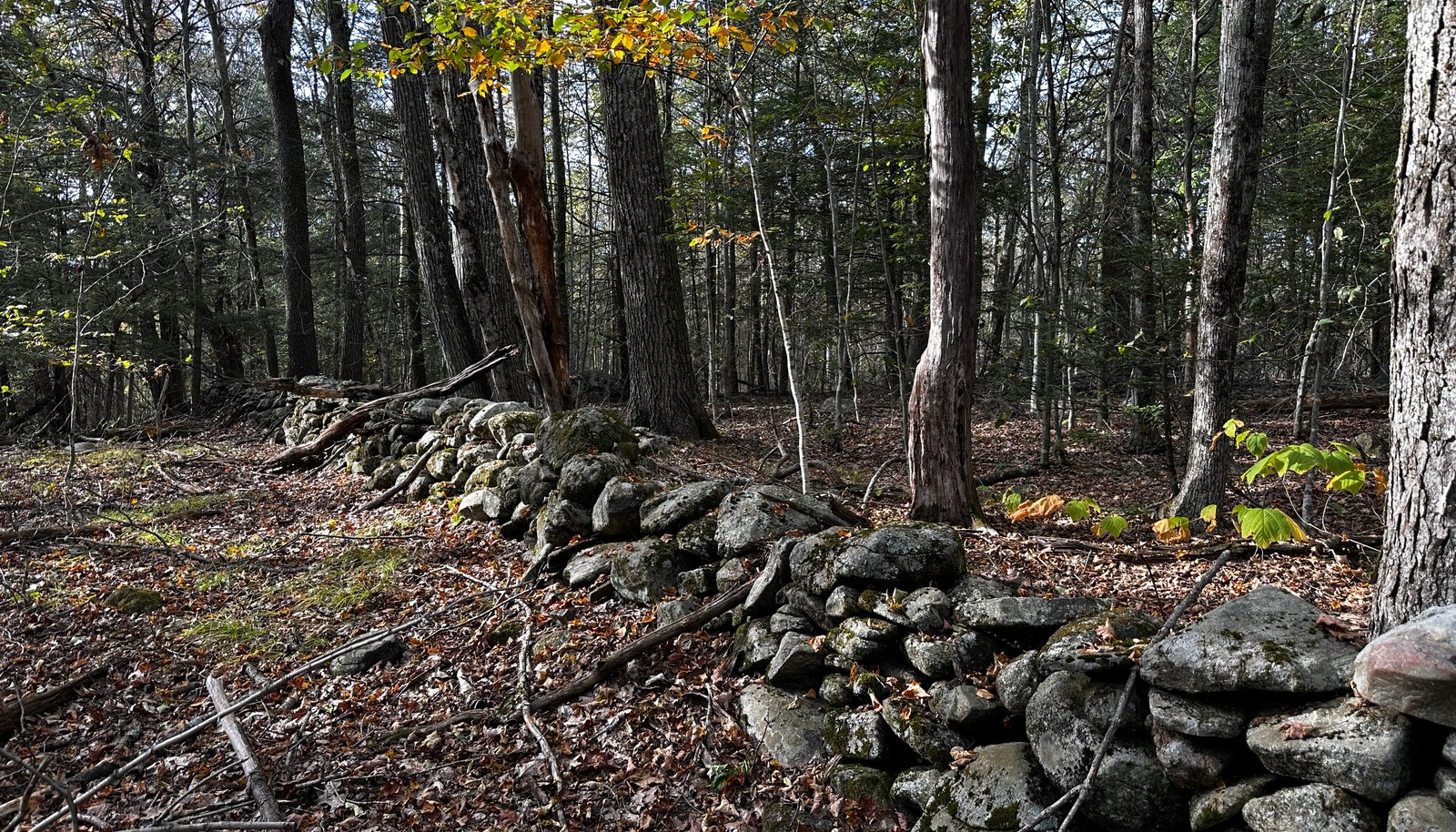 Image 21