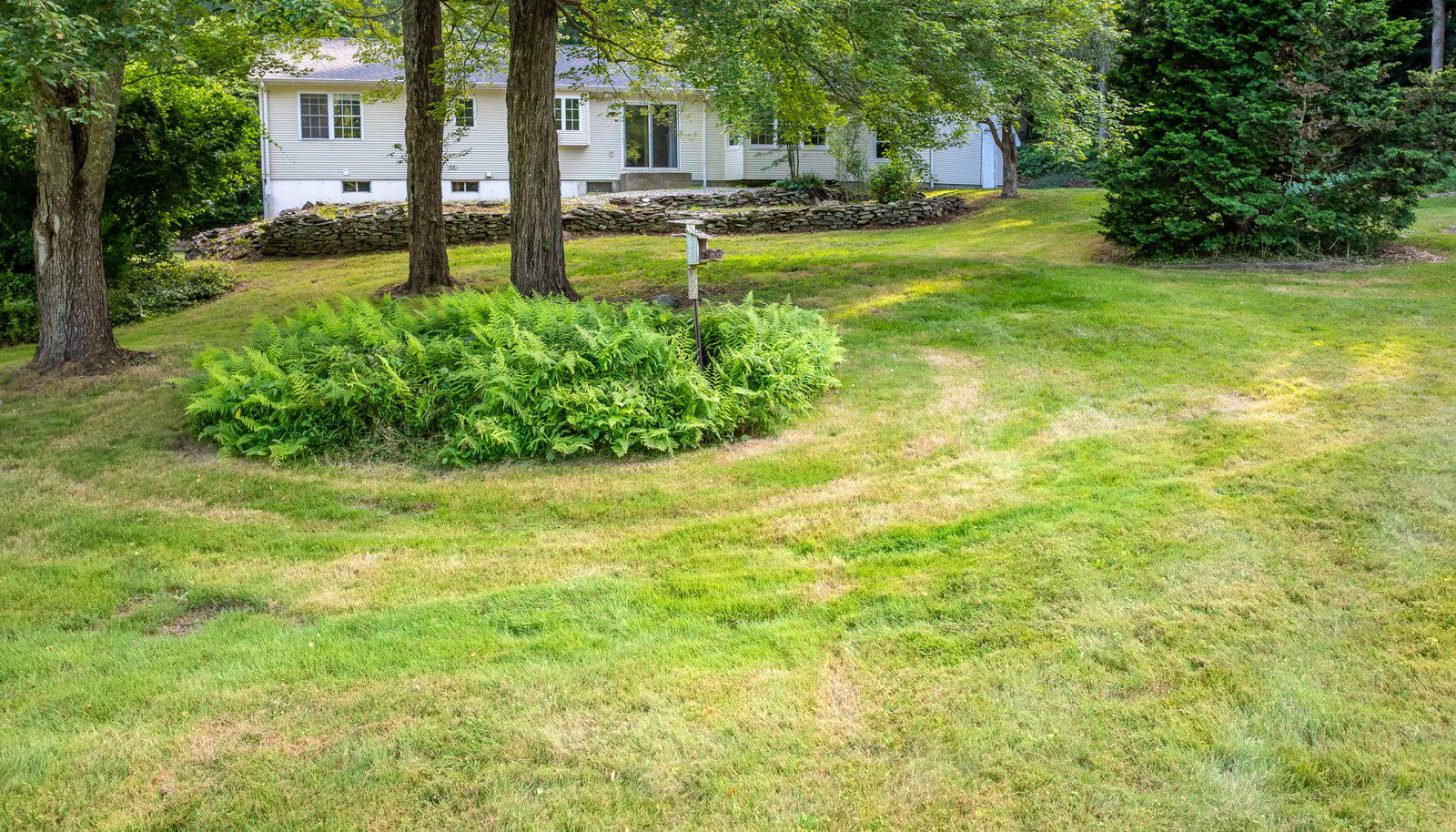 Image 13