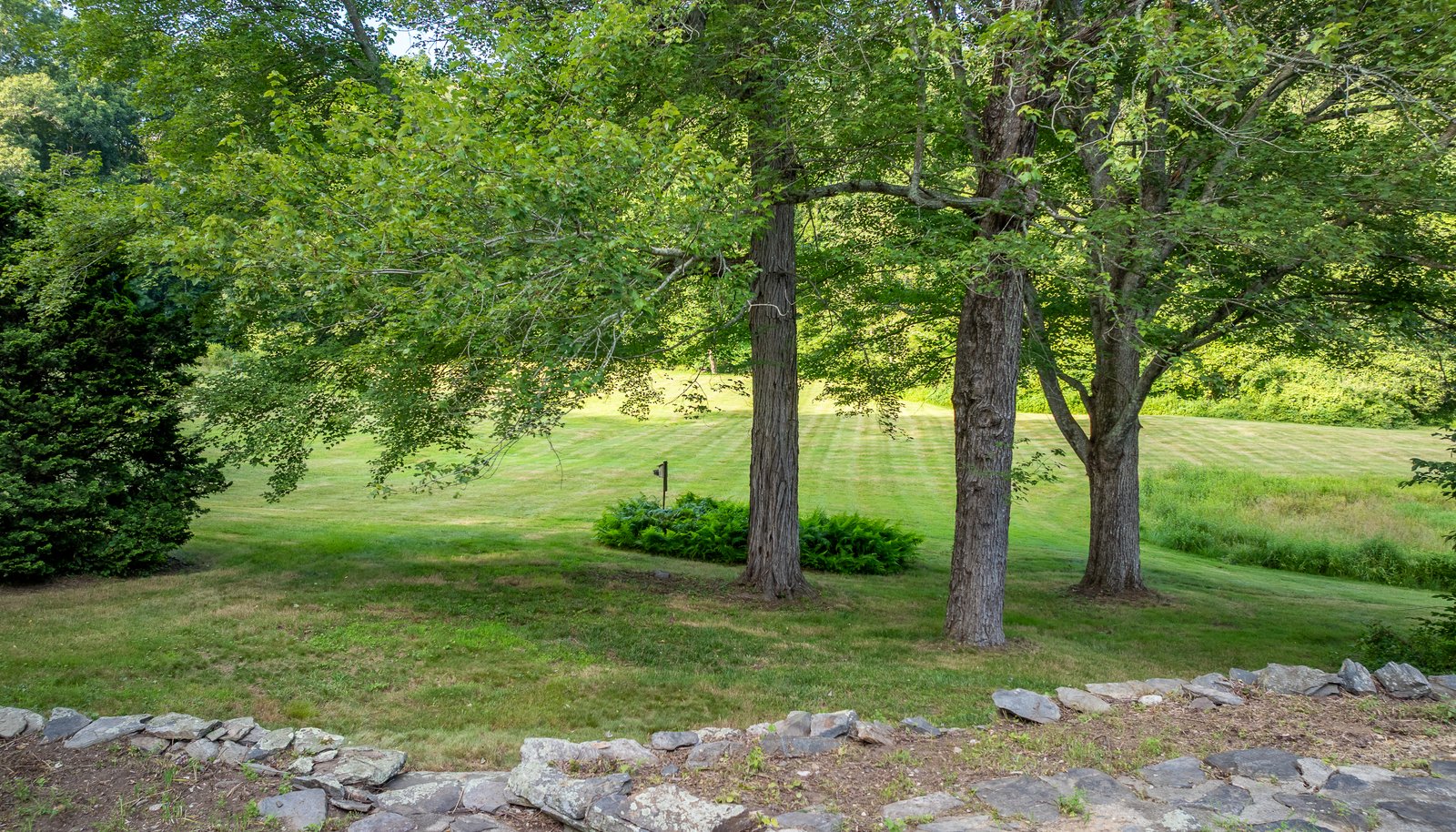 Image 15