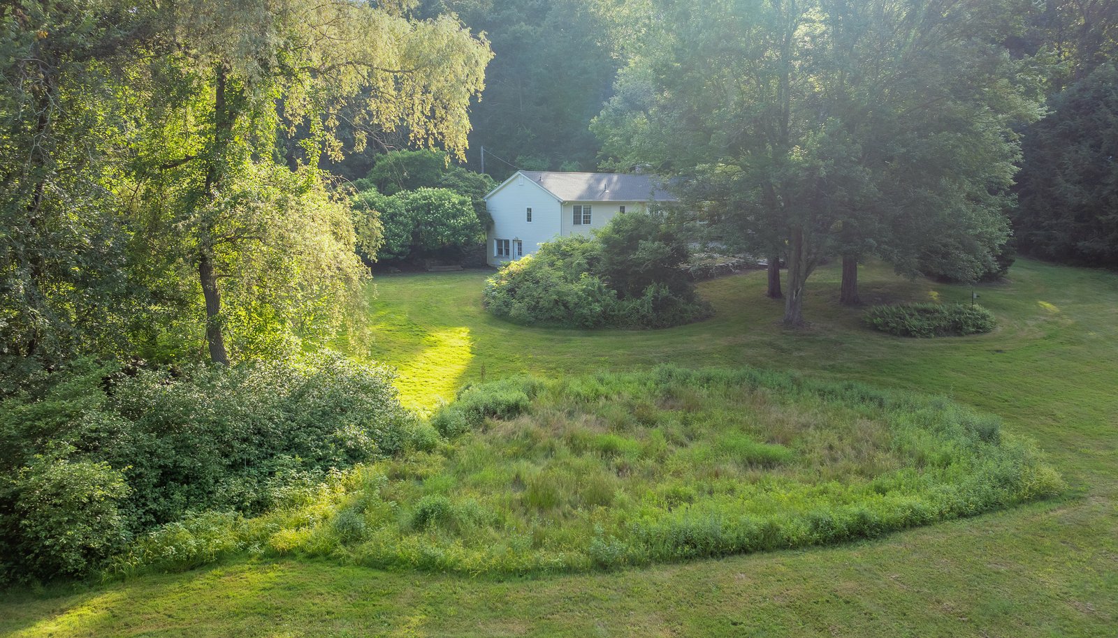 Image 35