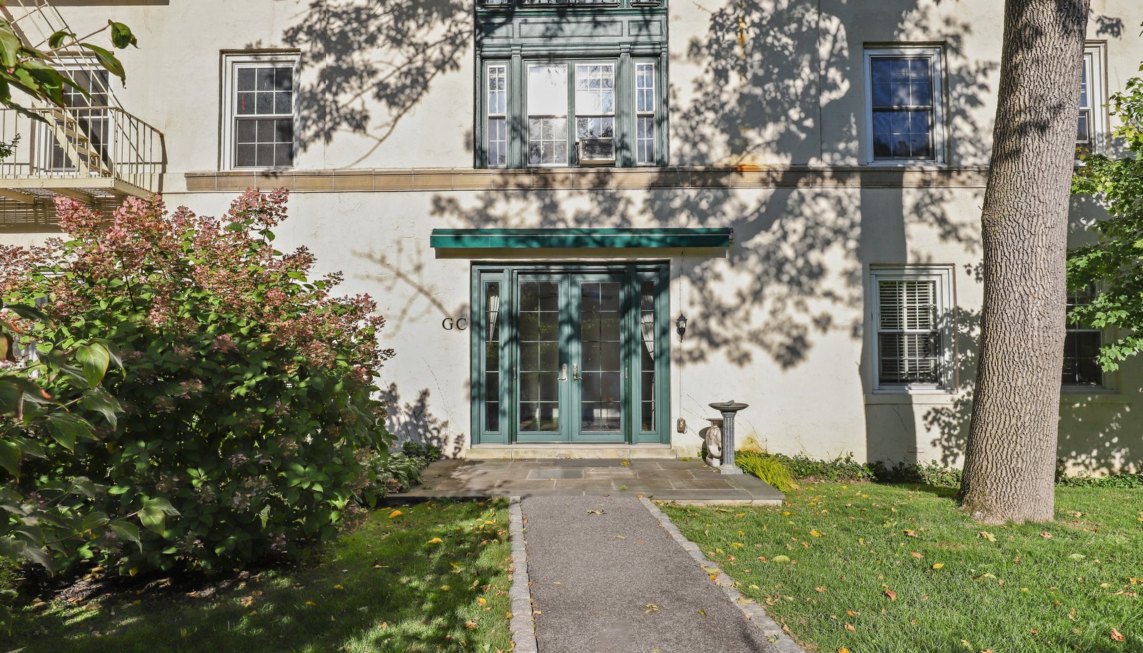 Image 15